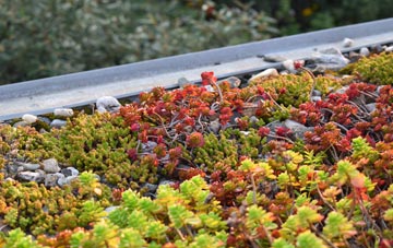 the cost of Abbotts Ann green roof installation