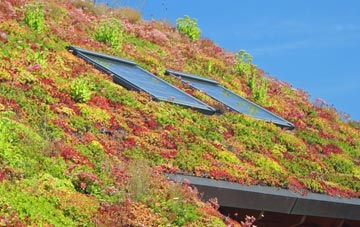 Abbotts Ann living roof systems